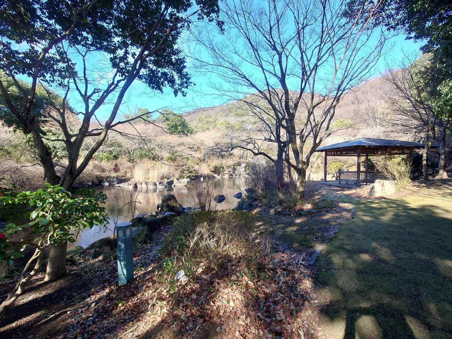 綺麗な庭園