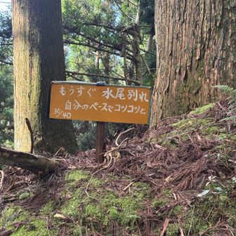 もうすぐ水尾別れで休憩するぞ