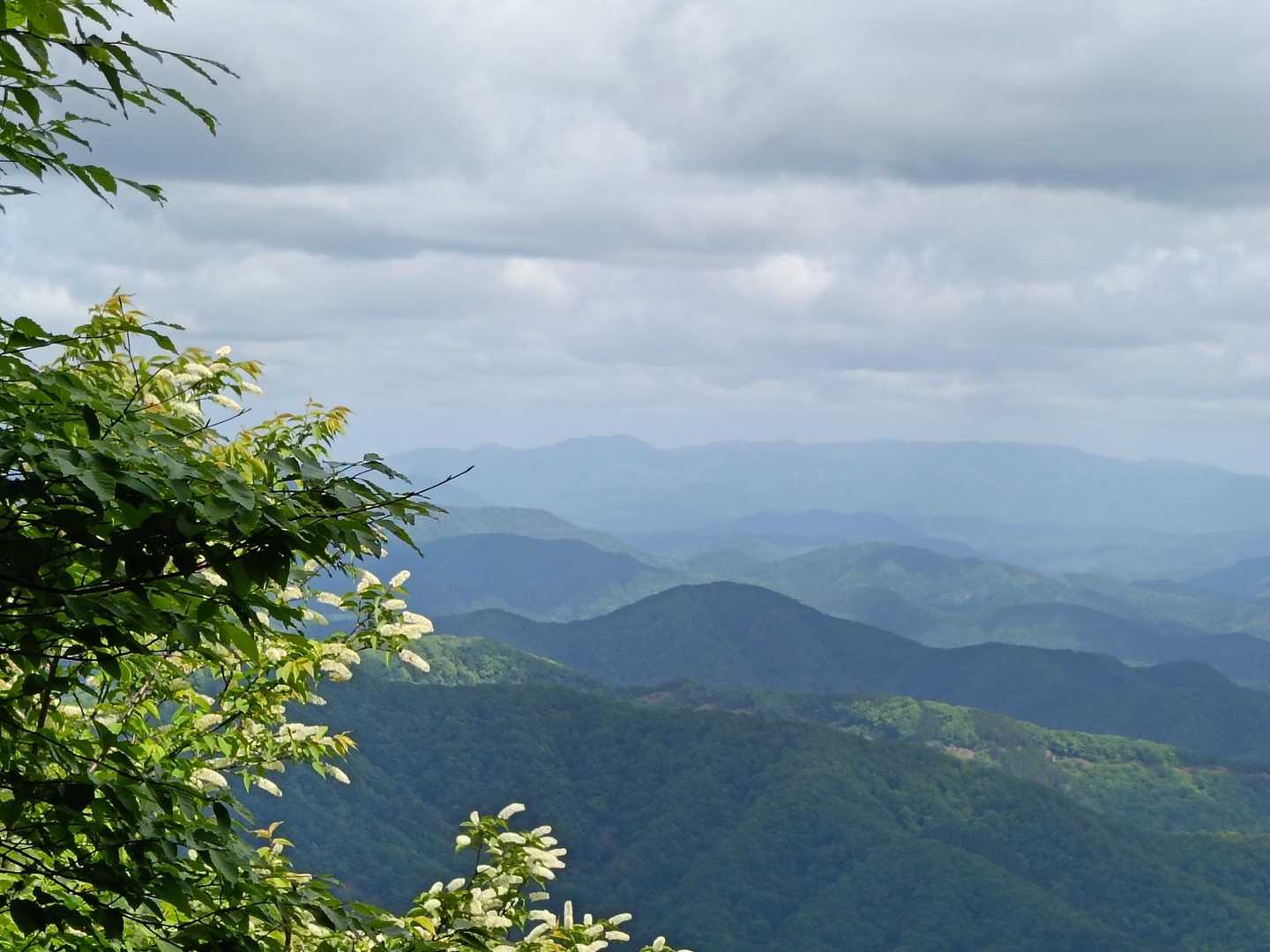 第二登山口-足谷山-菅谷峠-ホノケ山-高頭山 周回コースの写真