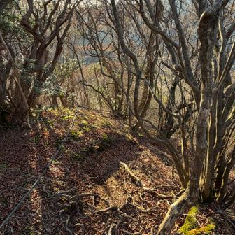 西陽が差してる内に降りたい急降り。
