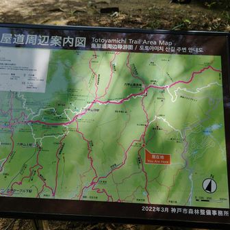 いろんなルートがあって道迷いに注意です。