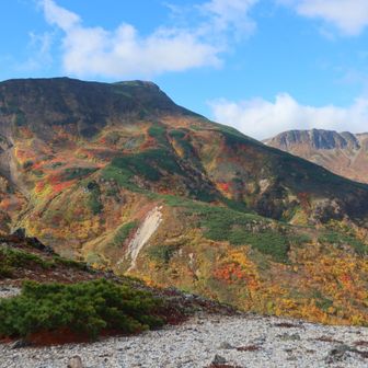 紅葉は相変わらず綺麗すぎるぜ