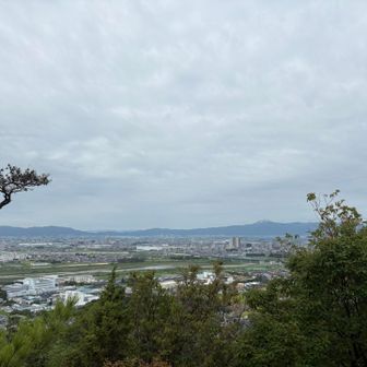 二越からの眺望👀
まだ標高が低いせいか琵琶湖が見えにくい😵
山は左からポンポン山、大文字山、大比叡など
ココから表登山道⛰️