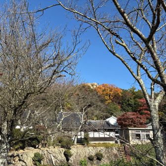 山に接することができて良かったです。

おしまい