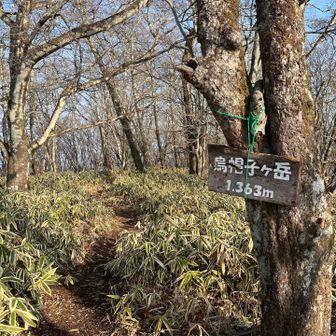 烏帽子到着、まだ余裕ー