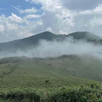 那岐山の方も見えてきました。
