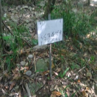 『楽な道』なコ―スにすすみました。