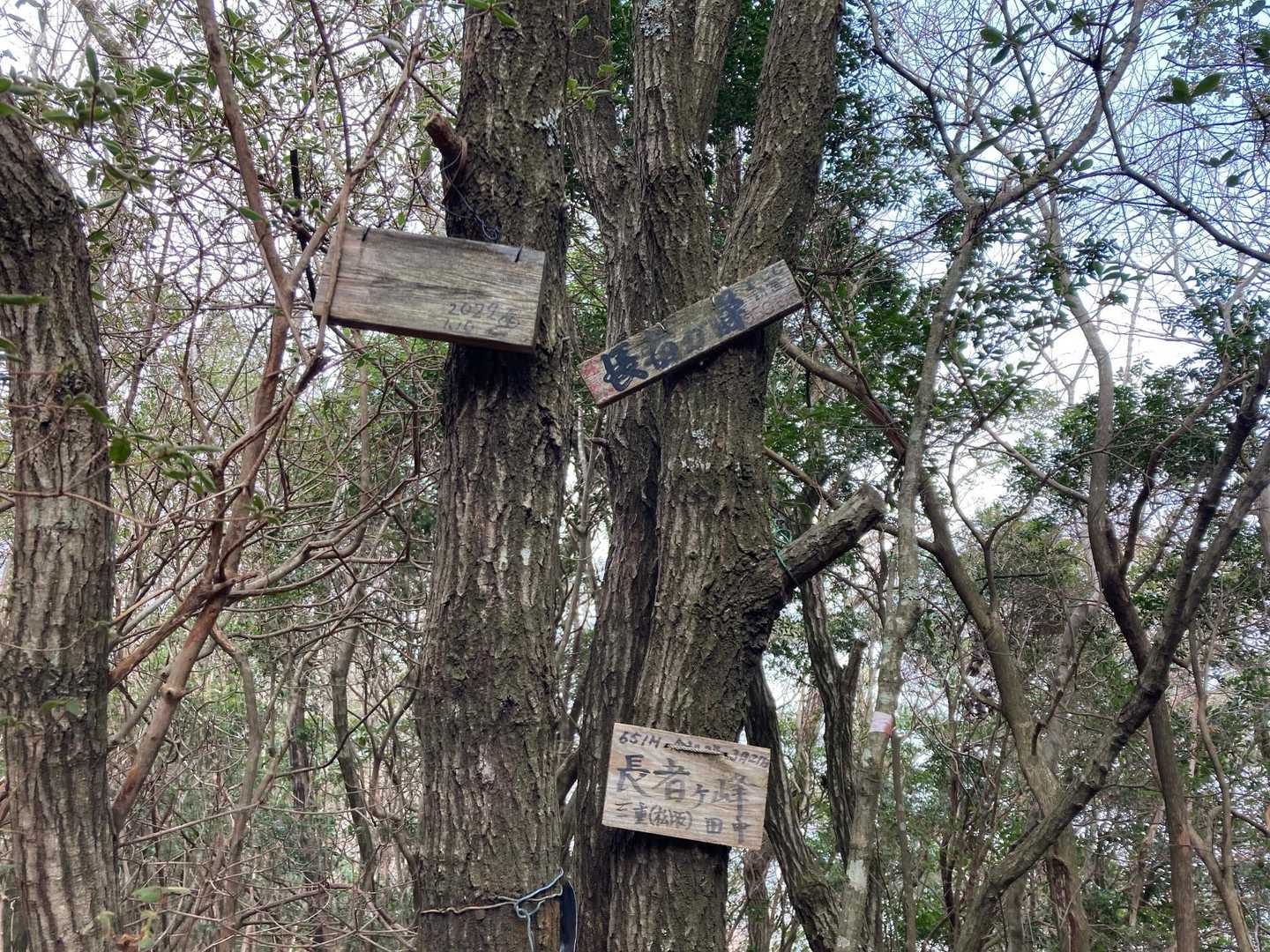 長者ヶ峰山頂