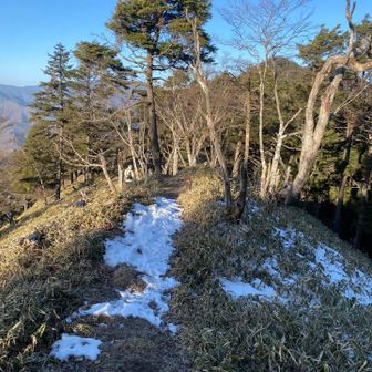 次は古礼山へ向かいます