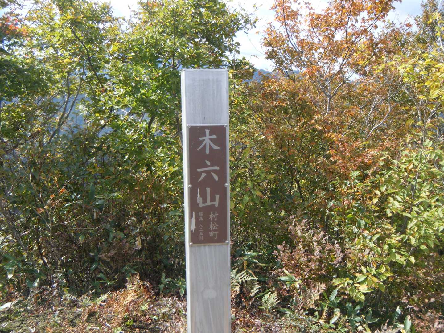 今日はここまで🤣👍️
