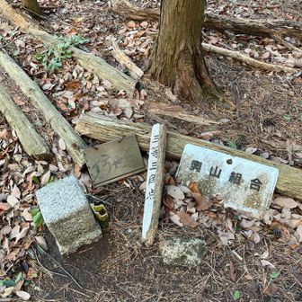 一応、ここが戒場山。地面に置かれた木製プレートには「坊世尊」の文字🤔