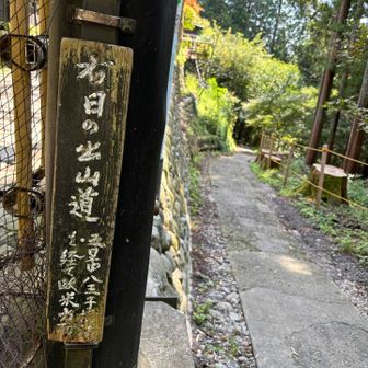 日の出山への道🥾