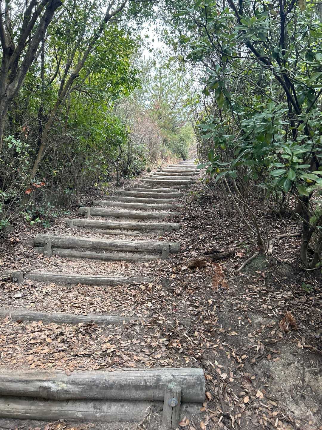 グングン登れ
足平気だよ