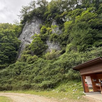 あの大きい岩、昨日の朝は全然気付かなかった