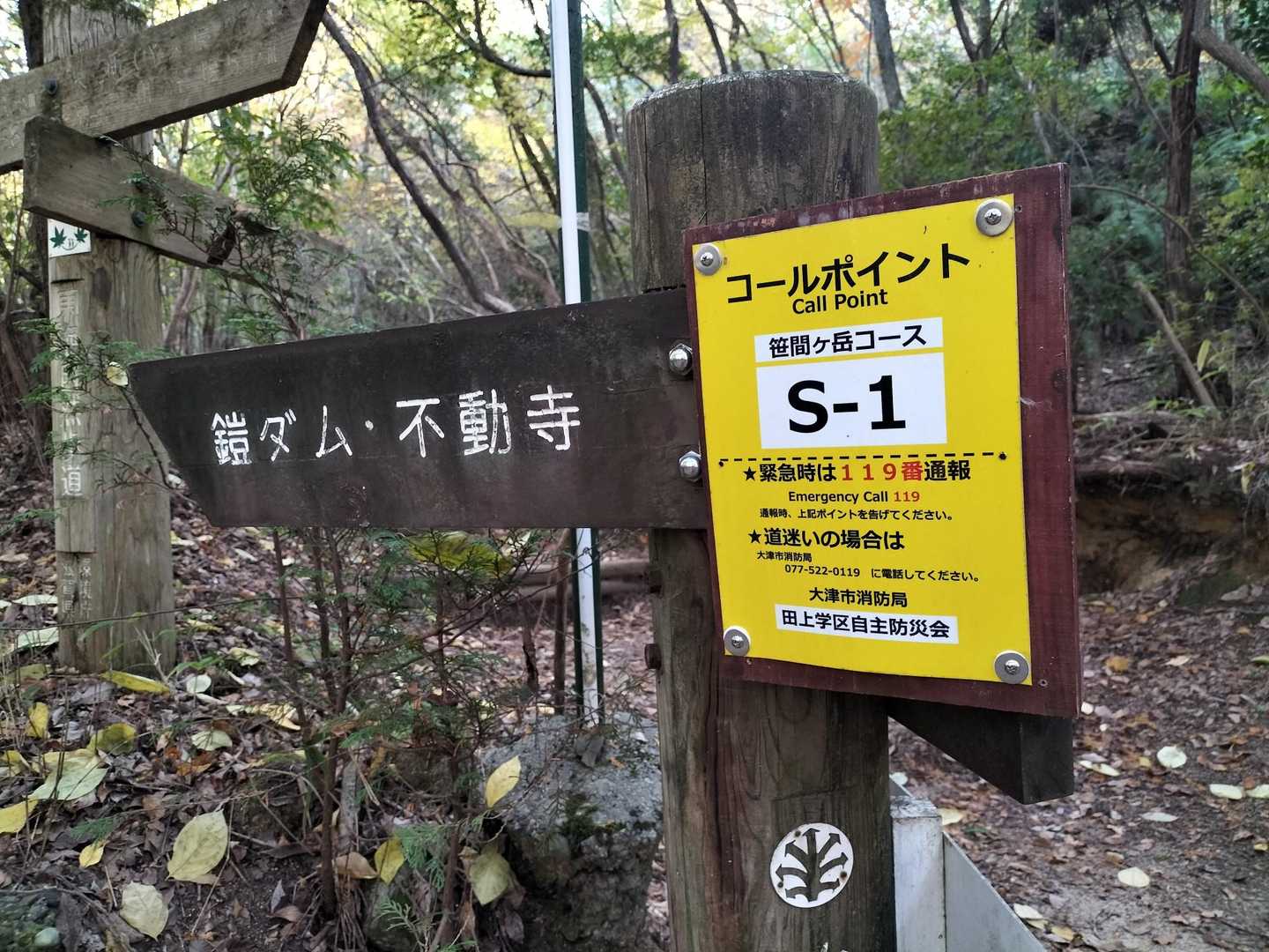 戻ってきました。