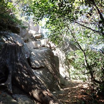 右は大江公園への下山道。
左が三剣山への登山口。道に見えませんよね。
切り株に足をかけて、岩を掴んで無理やり登りました。ここが焼山への最初にして最大の難関。ちなみに、降りるときは更に大変です。
登る方は覚悟して進むべし。