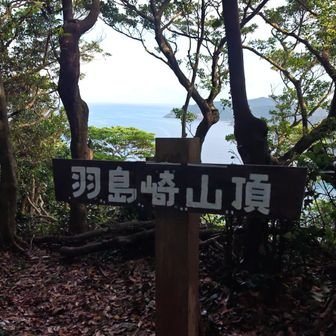 山頂GET🙌
三角点は見当たらないなぁ〜😅