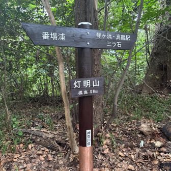 灯明山山頂96m