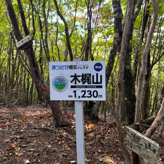 ピークに眺望ははありません