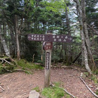 分岐　ここから金峰山にも行けます（だいぶ遠いらしいけど）