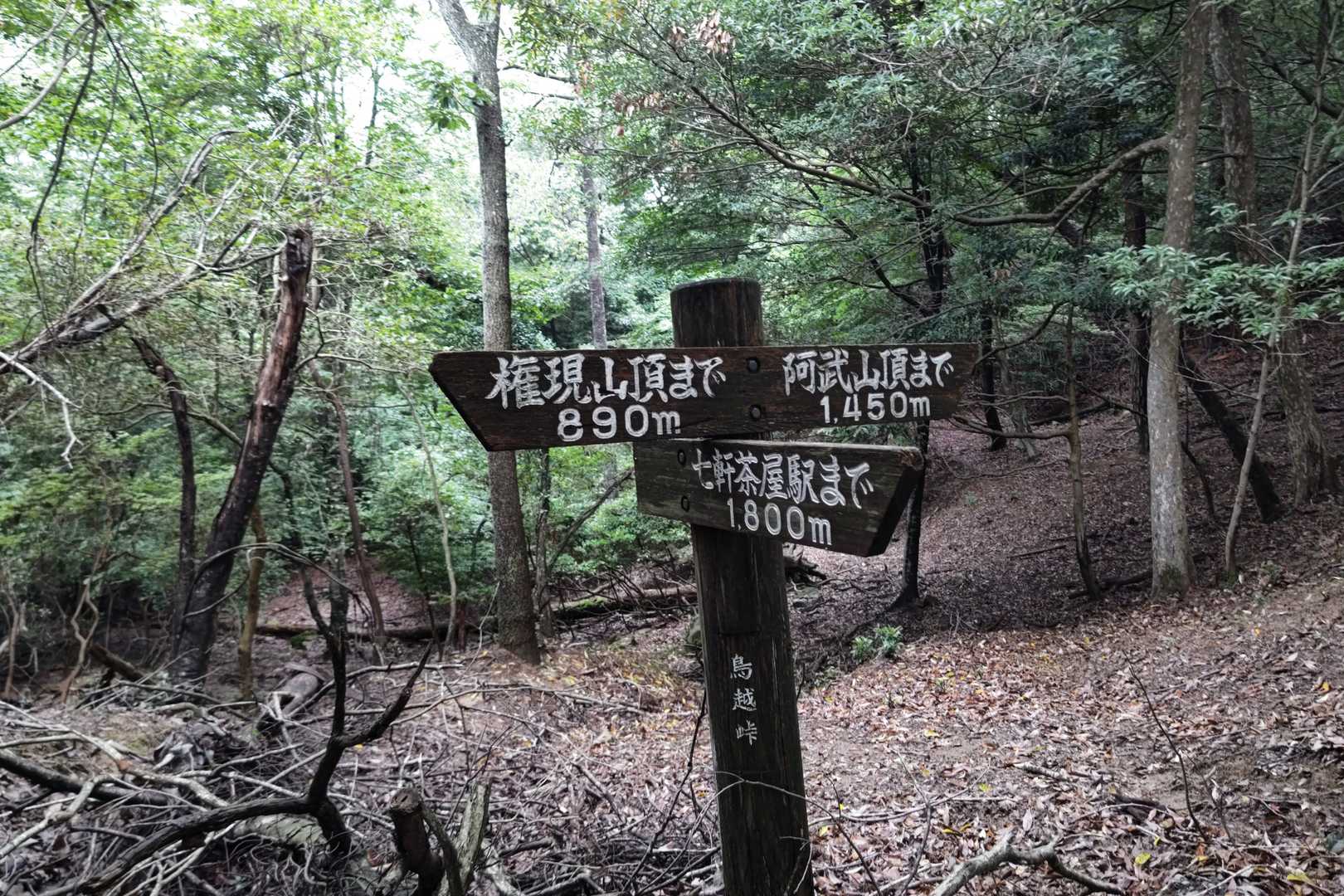 分岐点❗