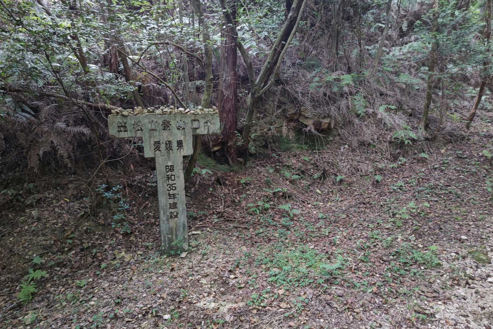 ここから山道