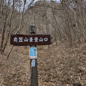 林道を暫く歩き
いよいよ本格的な登山道に入る🥾
