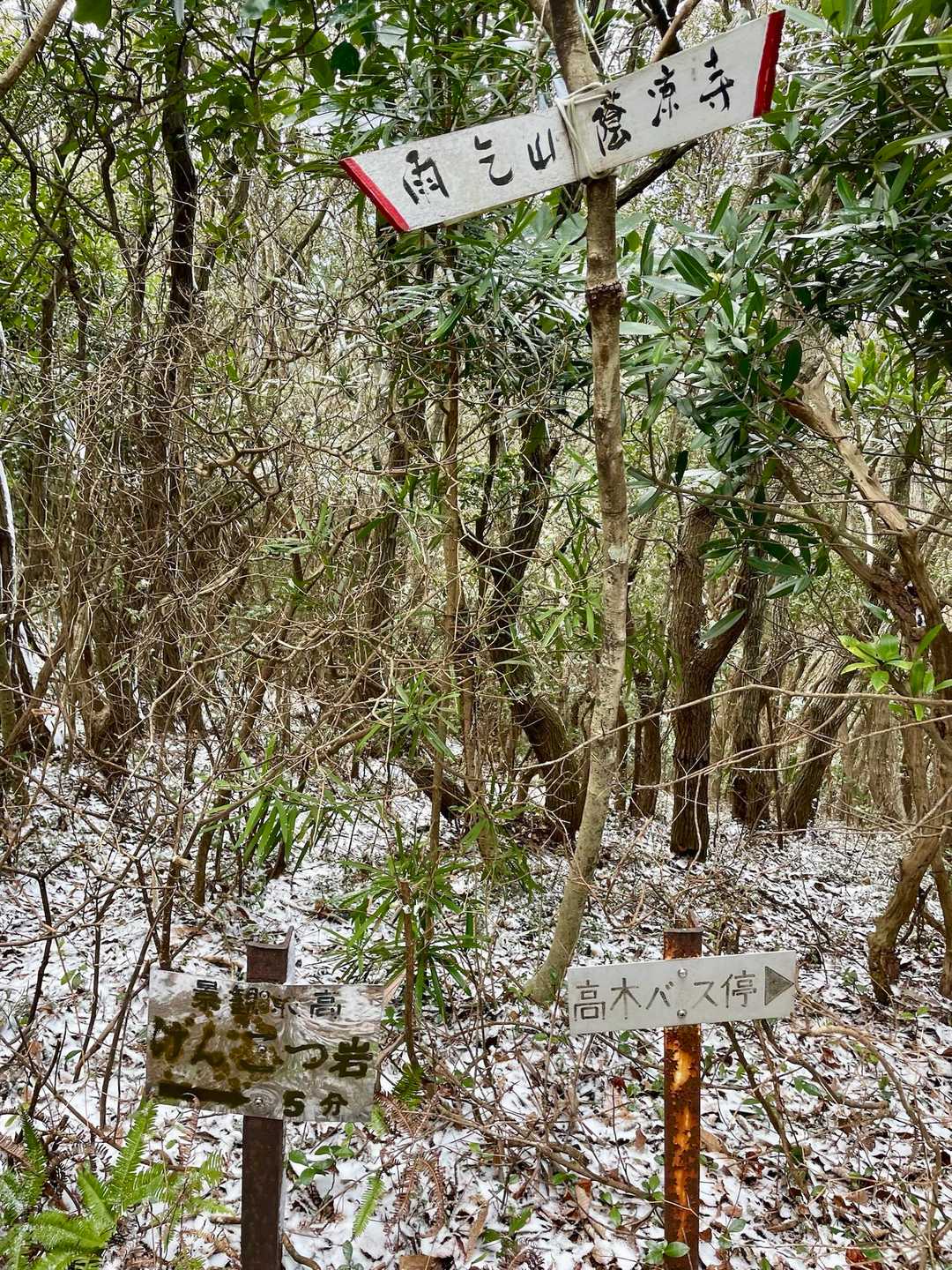 物見山-雨乞山 往復コースの写真