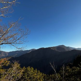 雲取山のほうからずーっと来るのも面白そうです