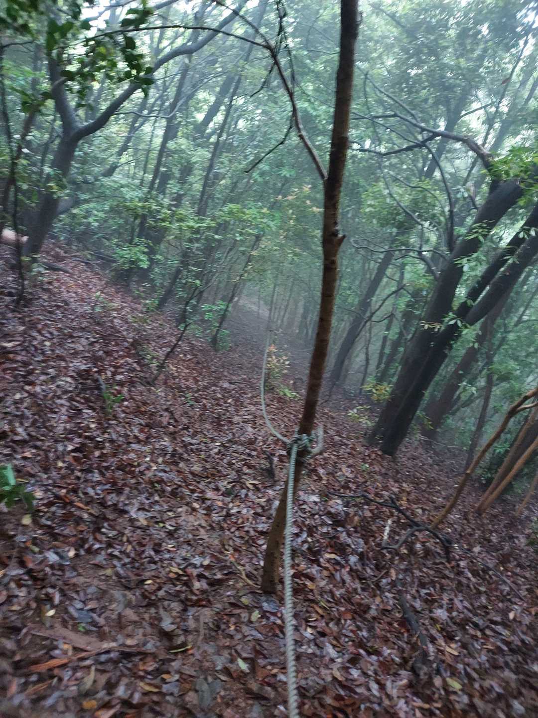 ロープありがたいです、手袋忘れて手が痛いですが