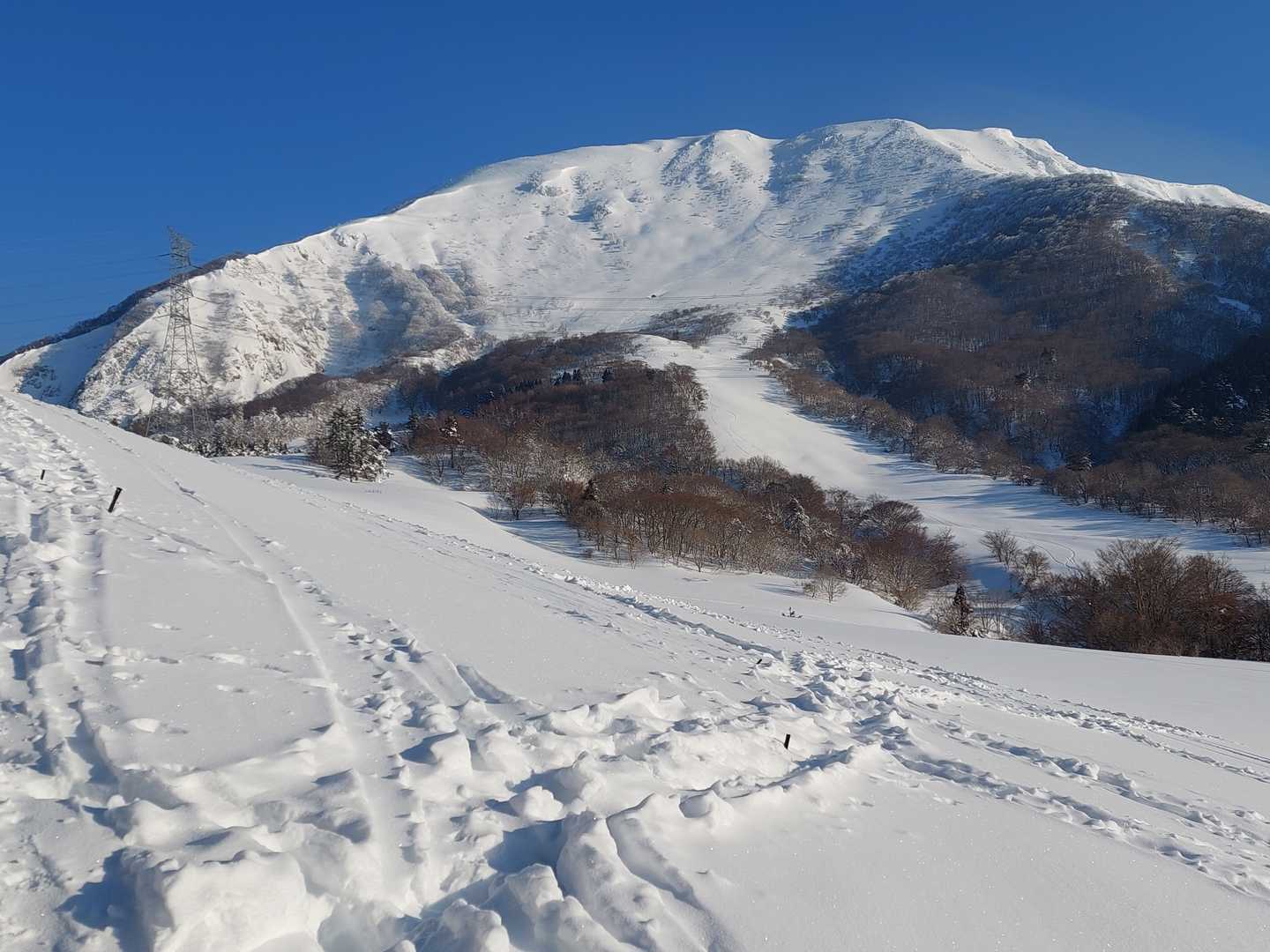 ジャーン！
真っ白な山容が見えてきた♪