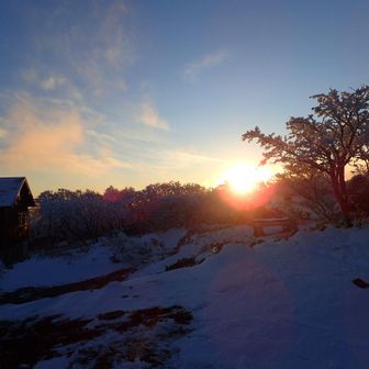 小屋に戻ってきました