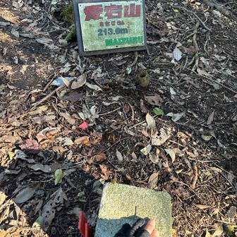 タッチ🖐️