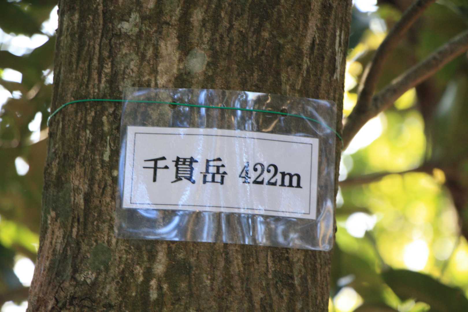 何時もの表示