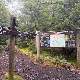 ここから雨降るんやろなぁって諦めムード。
このマップは六甲山と似てる。