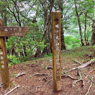 木道で派手に転んだしこの先の🩶ピークは大変だったので行かなくてもよかったかな😅