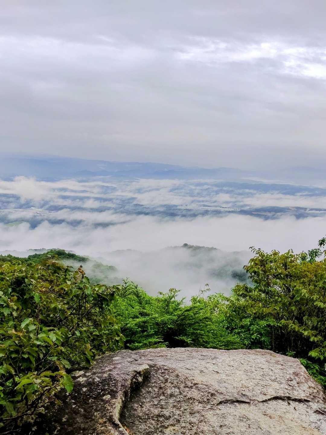 大岩展望台から雲海を望む