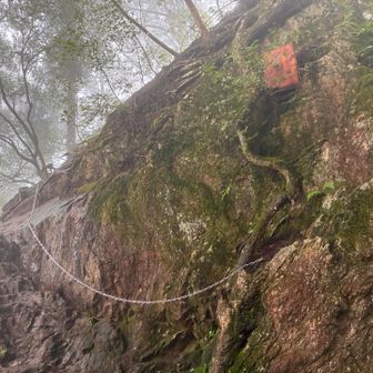 天狗岩、雨で湿っていなくても登るの大変そう💦
自分は登りませんでした💦