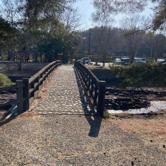 ピンポイントで🅿️に到着
お疲れ様でした