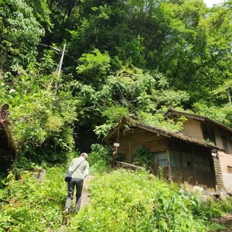 いつもの登山口
草ぼうぼうだ😅