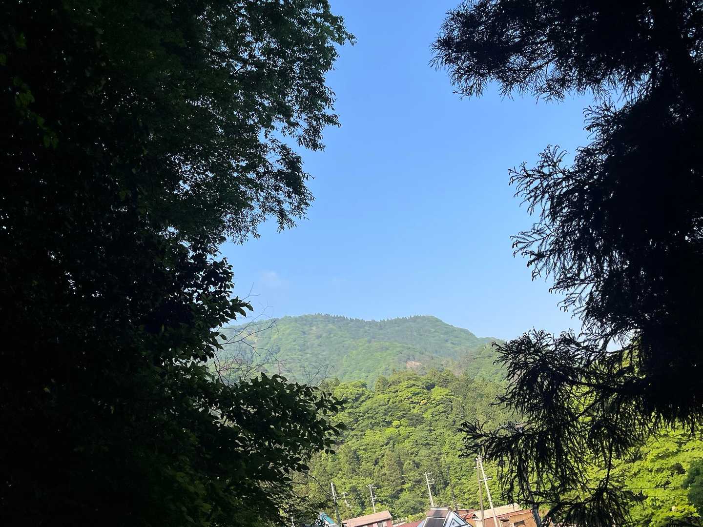 今日は、天気☀️、嬉しい☺️