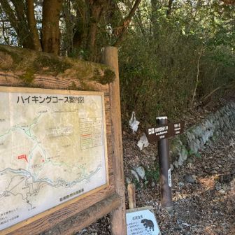 他の皆と分岐で分かれて到着