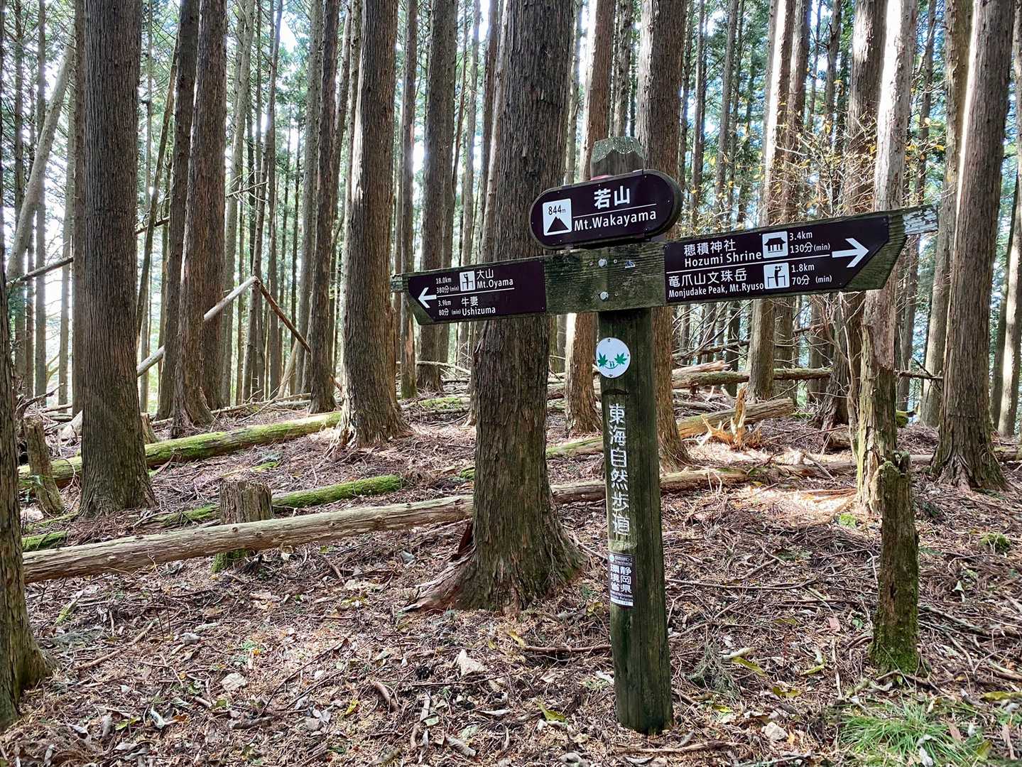 若山 到着！
展望なし 人もなし ナンもなし！
静かなもんだわ😅