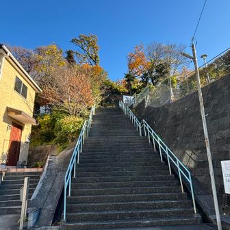 駅から10分弱で、正明寺市民の森の入り口に着く
神奈川県って新治市民の森とか生田緑地とか、生活圏に広い森があっていいなあ
