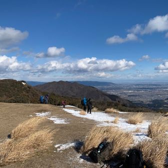 風は相変わらず強かった