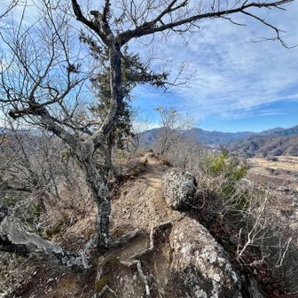 それでは、富士山をたっぷりと満喫したので下山します♪