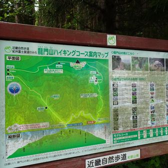 案内マップは充実