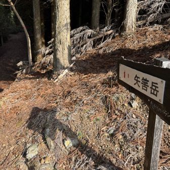 この標識からほぼ直登。