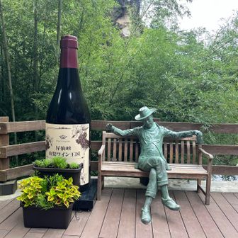山梨と言えばワイン🍷昨夜もしっかりマルスワイン楽しみました〜！😋