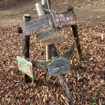 これを山頂としておくか、、、